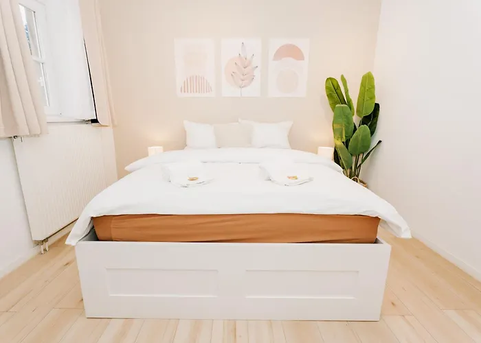 City-apartment Kreuzviertel-laedchen-60 Qm * Munster (North Rhine-Westphalia)