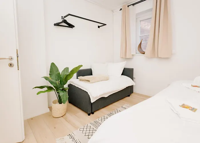 City-apartment Kreuzviertel-laedchen-60 Qm * Munster (North Rhine-Westphalia)